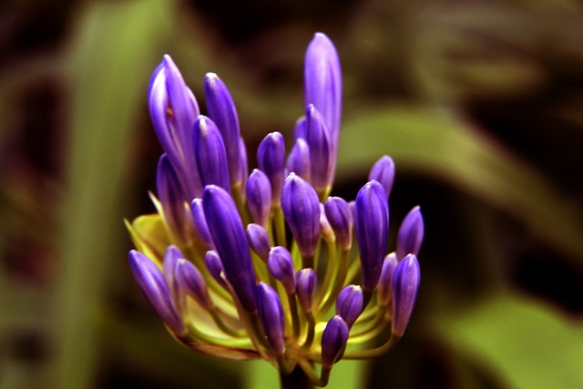 新华视评｜让劳动者安心过好每个年.